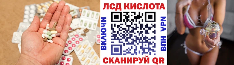 Купить закладки  Елизово  ЛСД экстази кислота 
